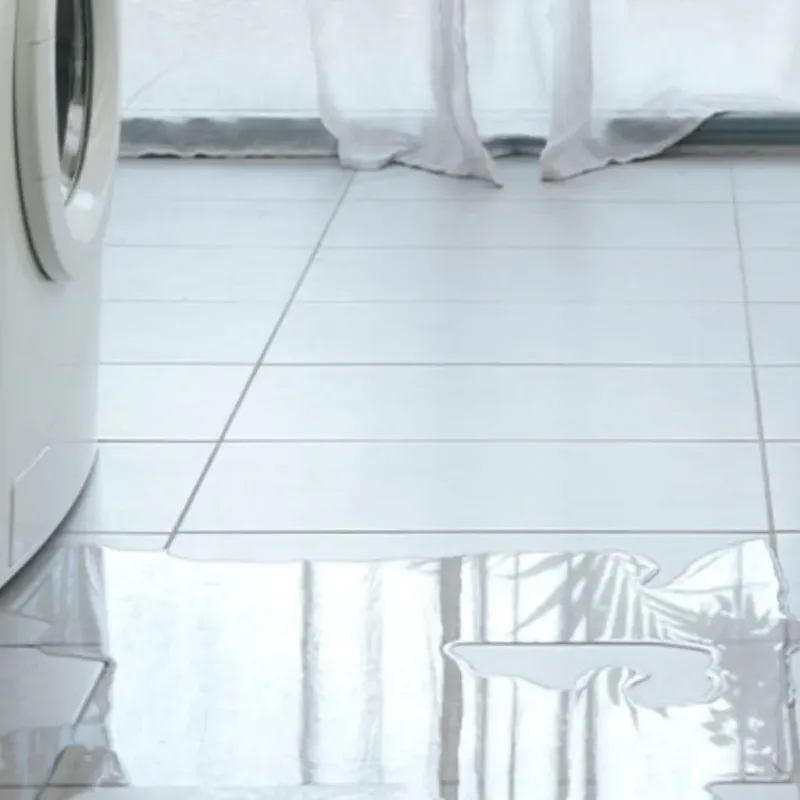 Appliance Leak Cleanup in Longboat Key, FL